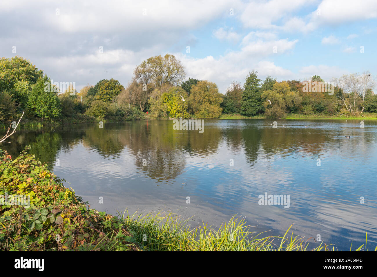 Herbst Farben um Perry Reservoir in Perry Park, Perry Barr, Birmingham, Großbritannien Stockfoto