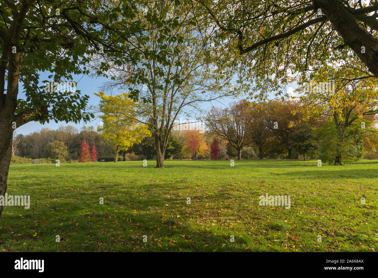 Herbstfarben im Perry Park, Perry Barr, Birmingham, Großbritannien Stockfoto