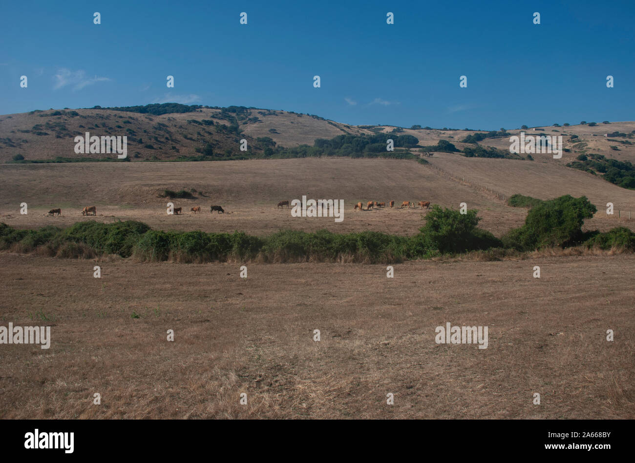 Sardische Landschaft Stockfoto