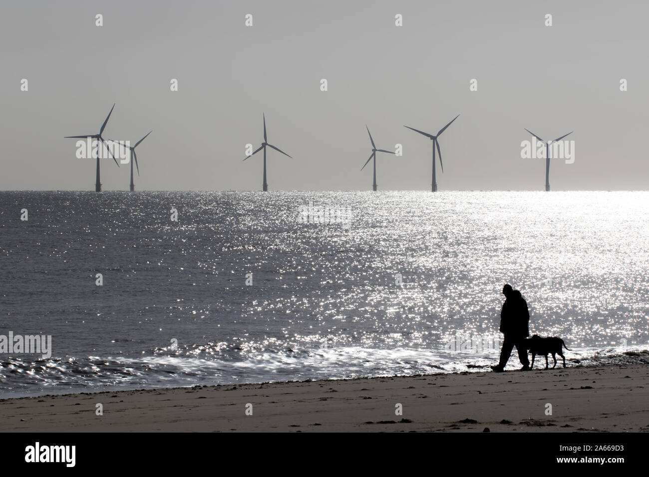 Einsamkeit und Abgeschiedenheit. Friedliche Landschaft Bild des einsamen Person zu Fuß einen Hund. Mans bester Freund. Windpark Turbinen auf dem Meer Strand Horizont. Mindf Stockfoto