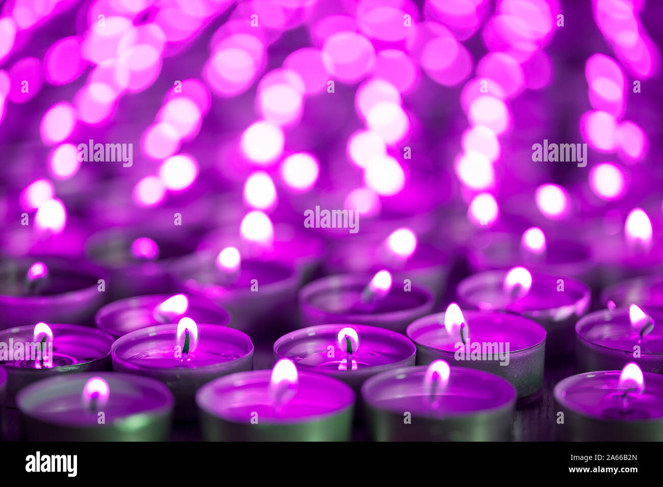 Lila rosa Kerze. Weihnachten oder Diwali feier Teelicht Kerzenlicht. Kerzen bei Nacht Vigil. Close-up selektiven Fokus Bild von beautifu Stockfoto