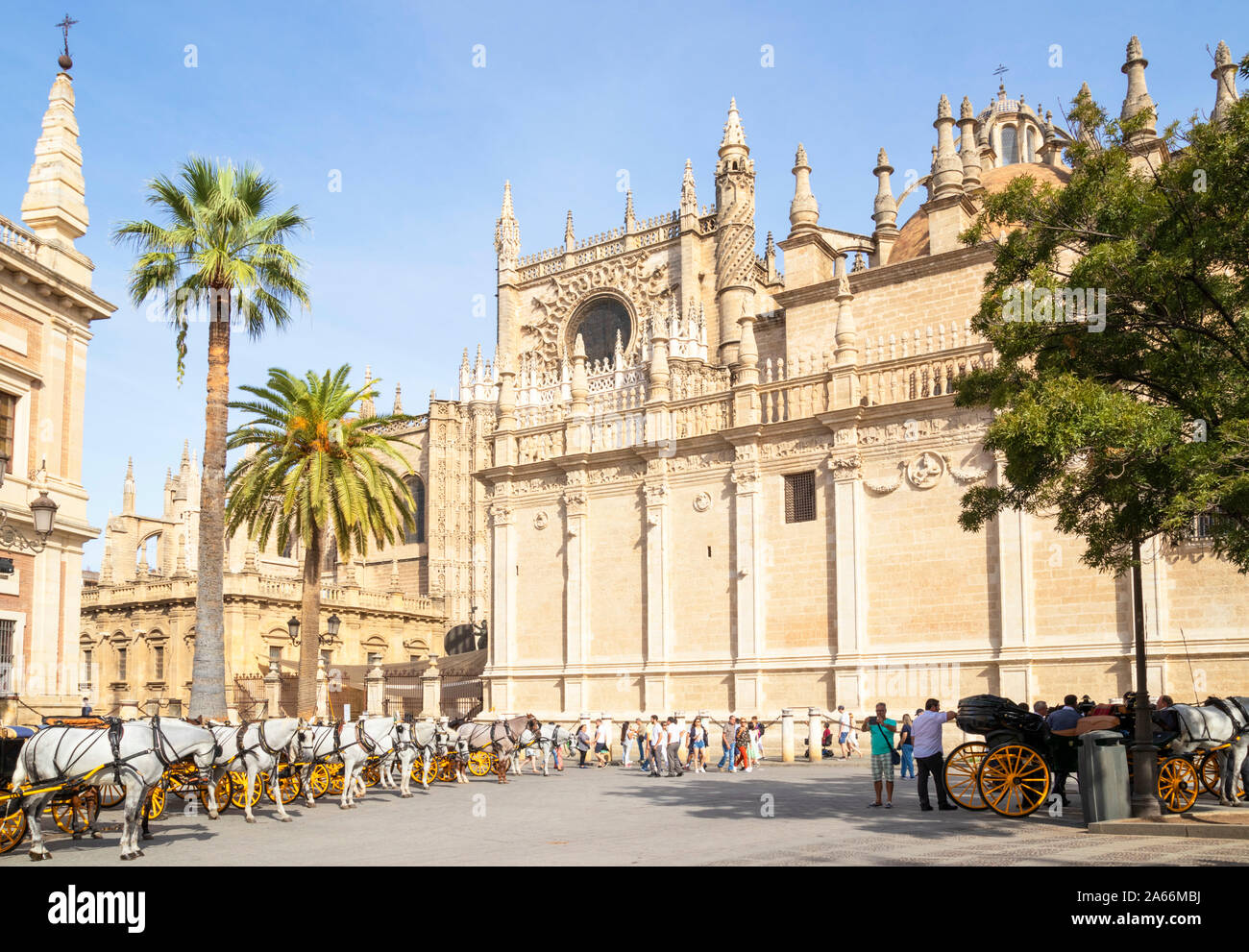 Sevilla Kutschfahrten außerhalb der Kathedrale von Sevilla und das allgemeine Archiv der Indies Gebäude Calle Miguel Mañara Sevilla Spanien EU Europa angeboten Stockfoto