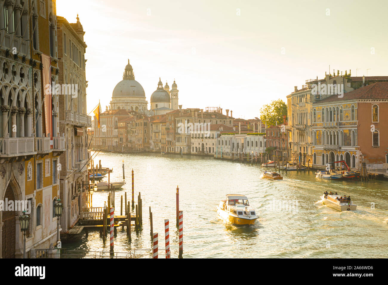 Basilica di Santa Maria della Salute, Canal Grande, Venedig, Veneto, Italien Stockfoto