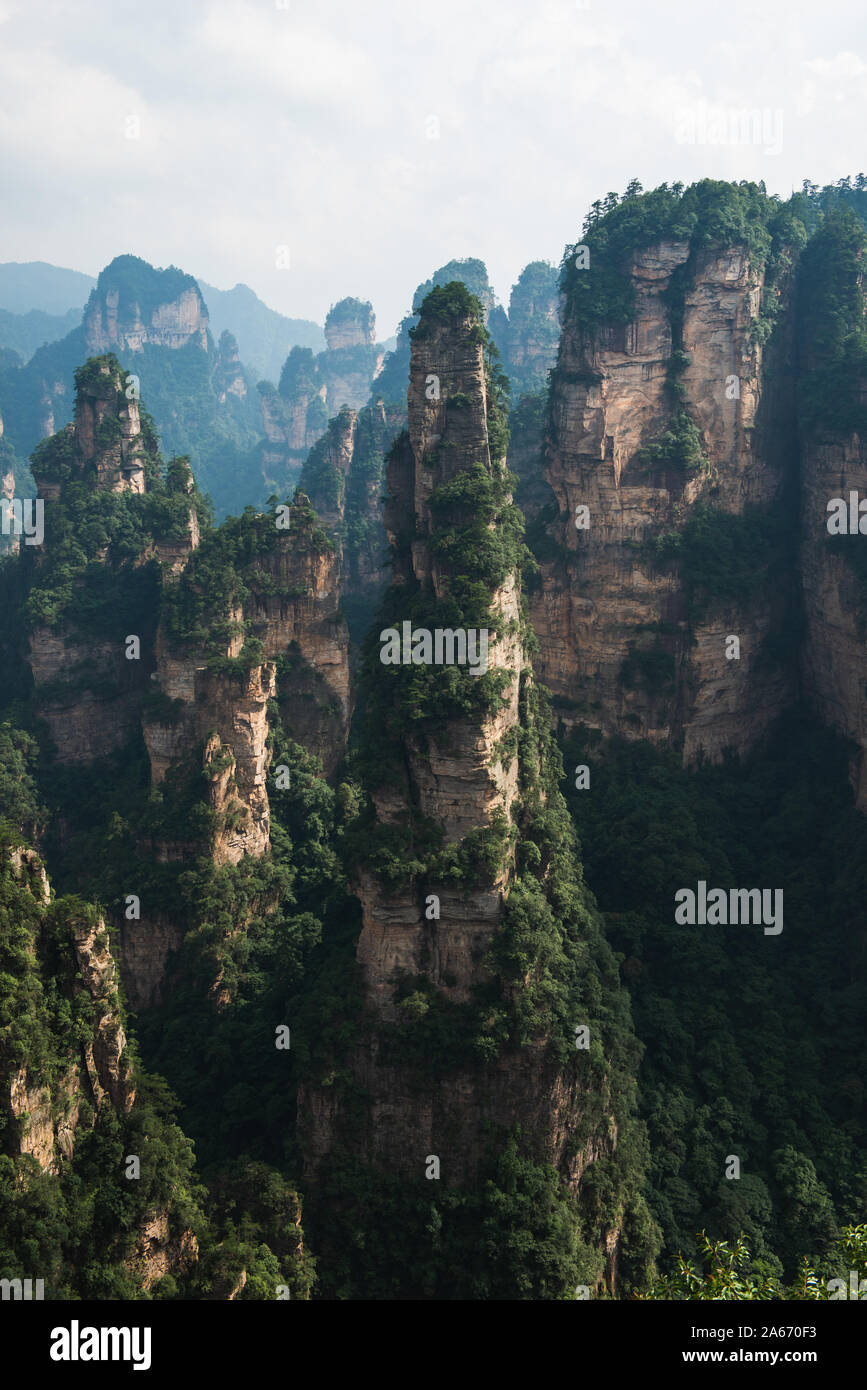 Natürliche Sandstein Felsformationen in Zhangjiajie National Forest Park in der Provinz Hunan, China. Stockfoto