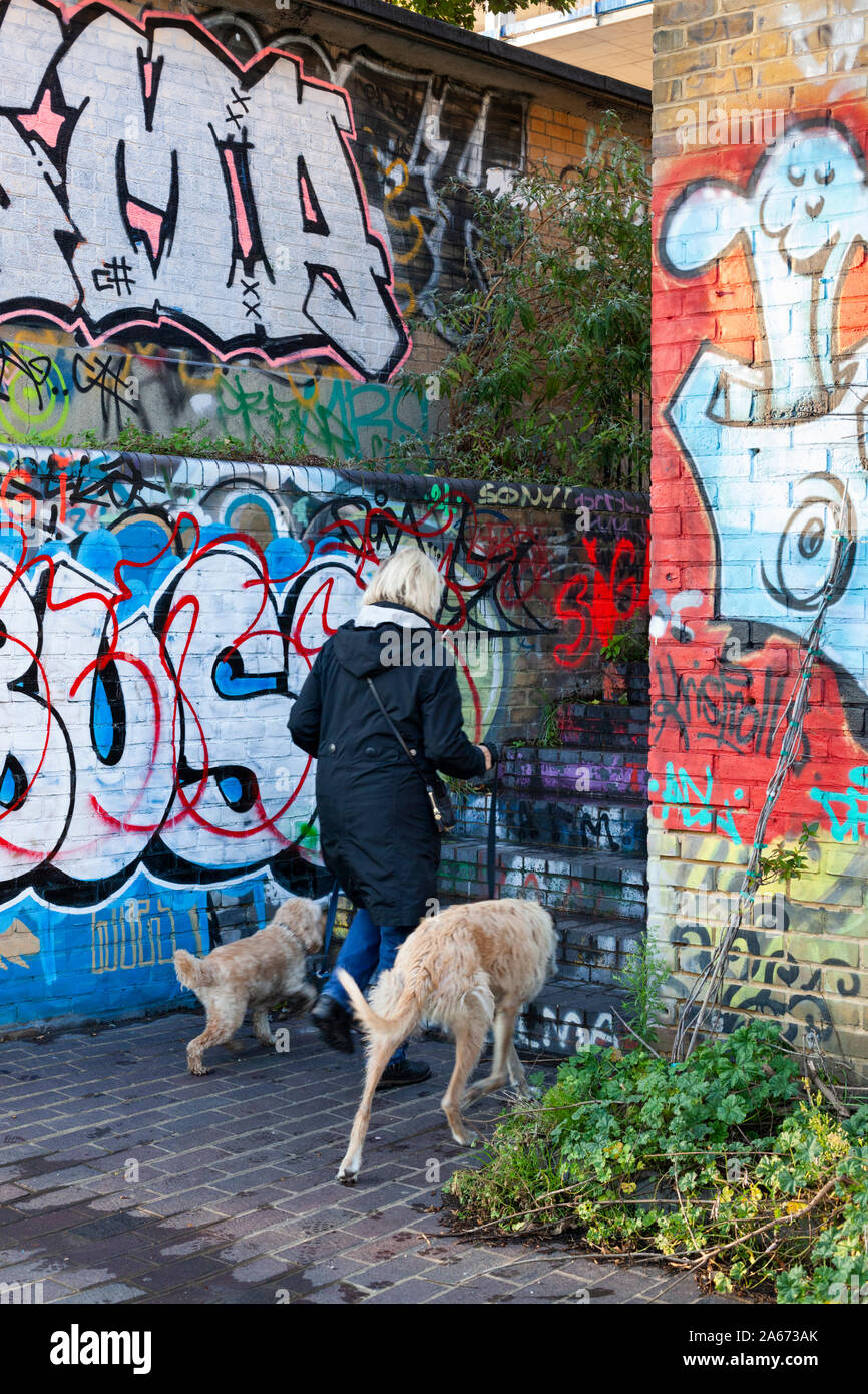 Dog Walker gehen, Schritte zwischen Wänden von Graffiti in der Nähe der Katzen- und Hammelfleisch Brücke, Hackney, East London, London, Großbritannien, Europa Stockfoto