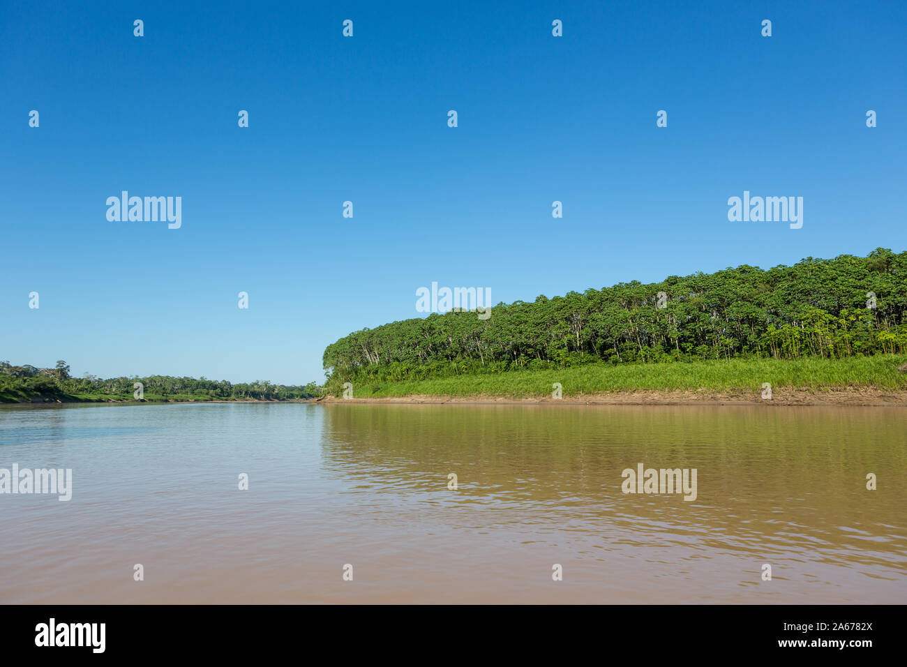 Wunderschöne Aussicht auf Purus Flusses im Amazonas Regenwald auf sonnigen Sommertag. Bäume am Ufer des Flusses und blauer Himmel im Hintergrund. Konzept der Natur. Stockfoto
