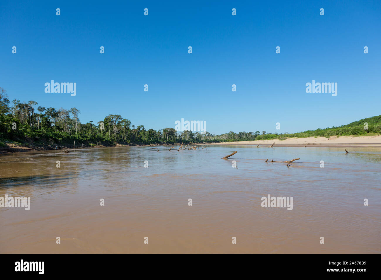 Wunderschöne Aussicht auf Purus Flusses im Amazonas Regenwald auf sonnigen Sommertag. Strand, Baumstämme, Bäume und blauer Himmel im Hintergrund. Konzept der Natur. Stockfoto