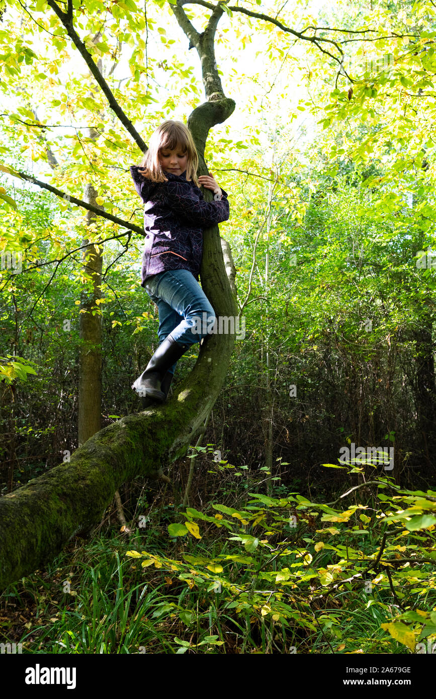 10 jähriges Mädchen auf einen Baum im Wald Stockfoto