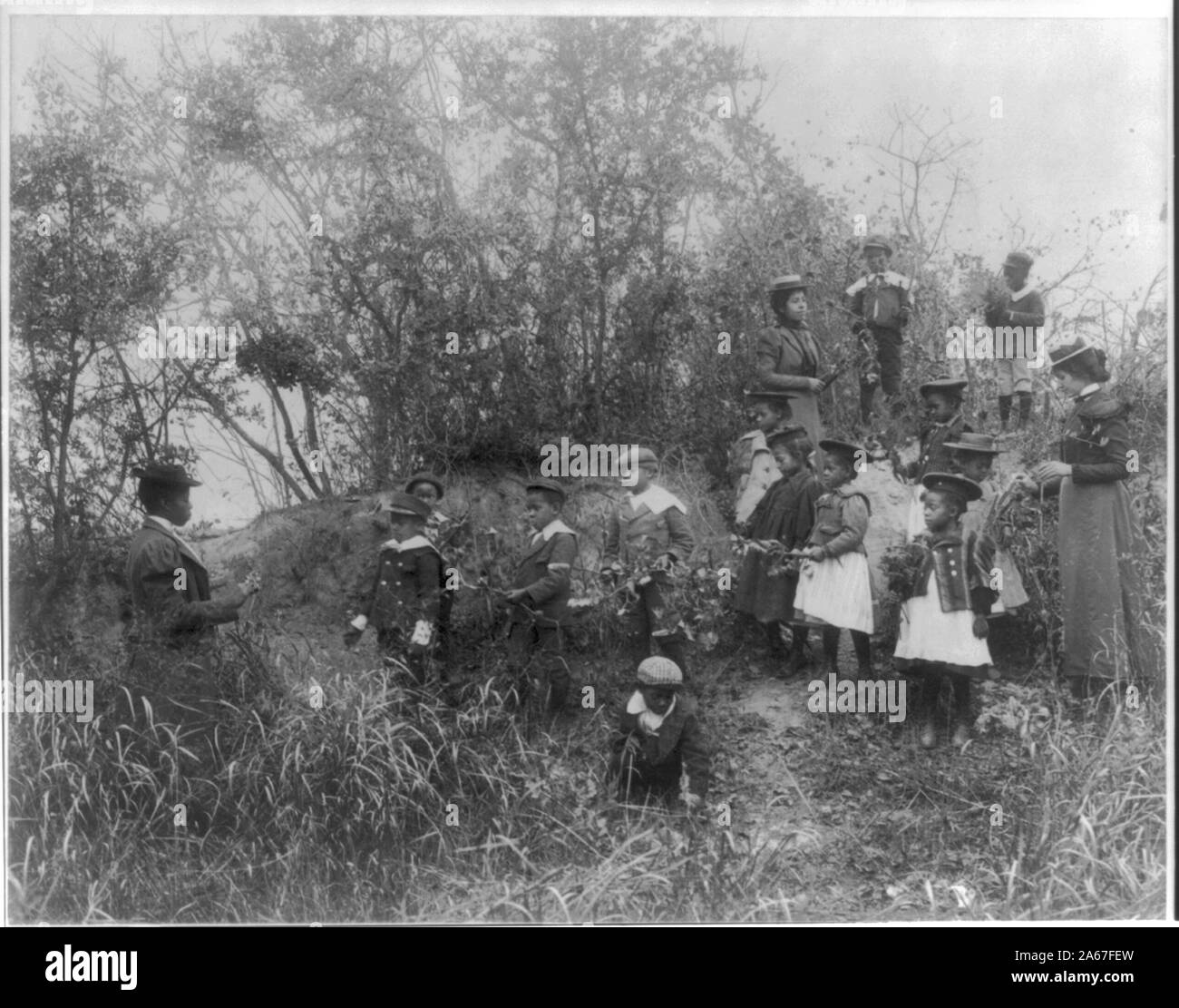 Whittier Schule Schüler auf eine Entdeckungsreise Pflanzen studieren, Hampton, Virginia Stockfoto