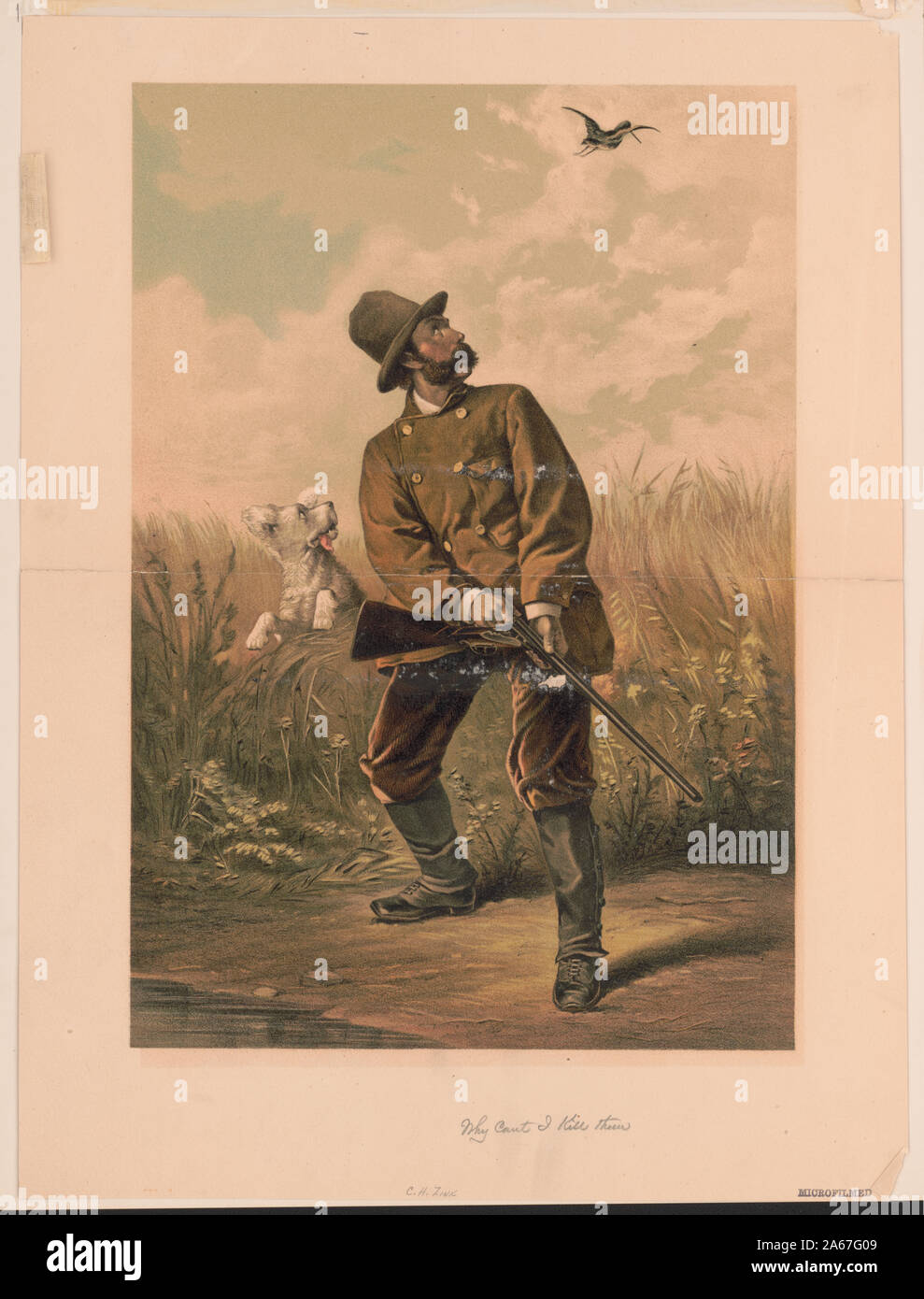 Warum kann ich mich nicht töten Stockfoto