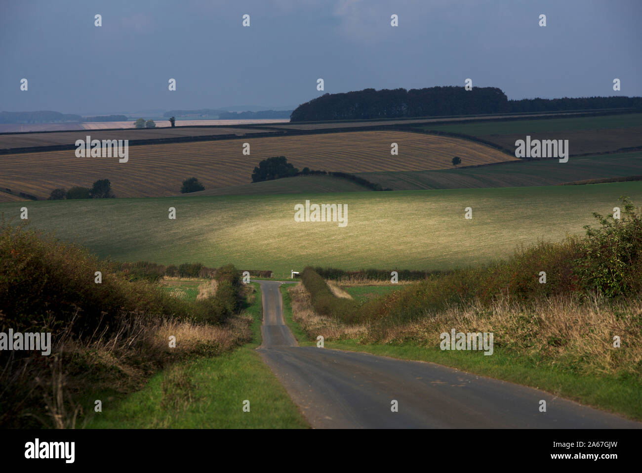 Landschaft der Yorkshire Wolds, East Yorkshire, England, Großbritannien Stockfoto
