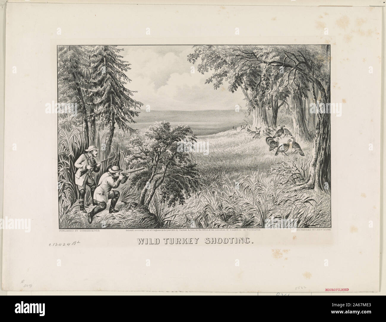 Wilde Türkei shooting Abstract: Drucken zeigt zwei Jäger versteckt hinter Bäumen, das Schießen auf wilde Truthähne Fütterung in einer kleinen Wiese am Waldrand. Stockfoto