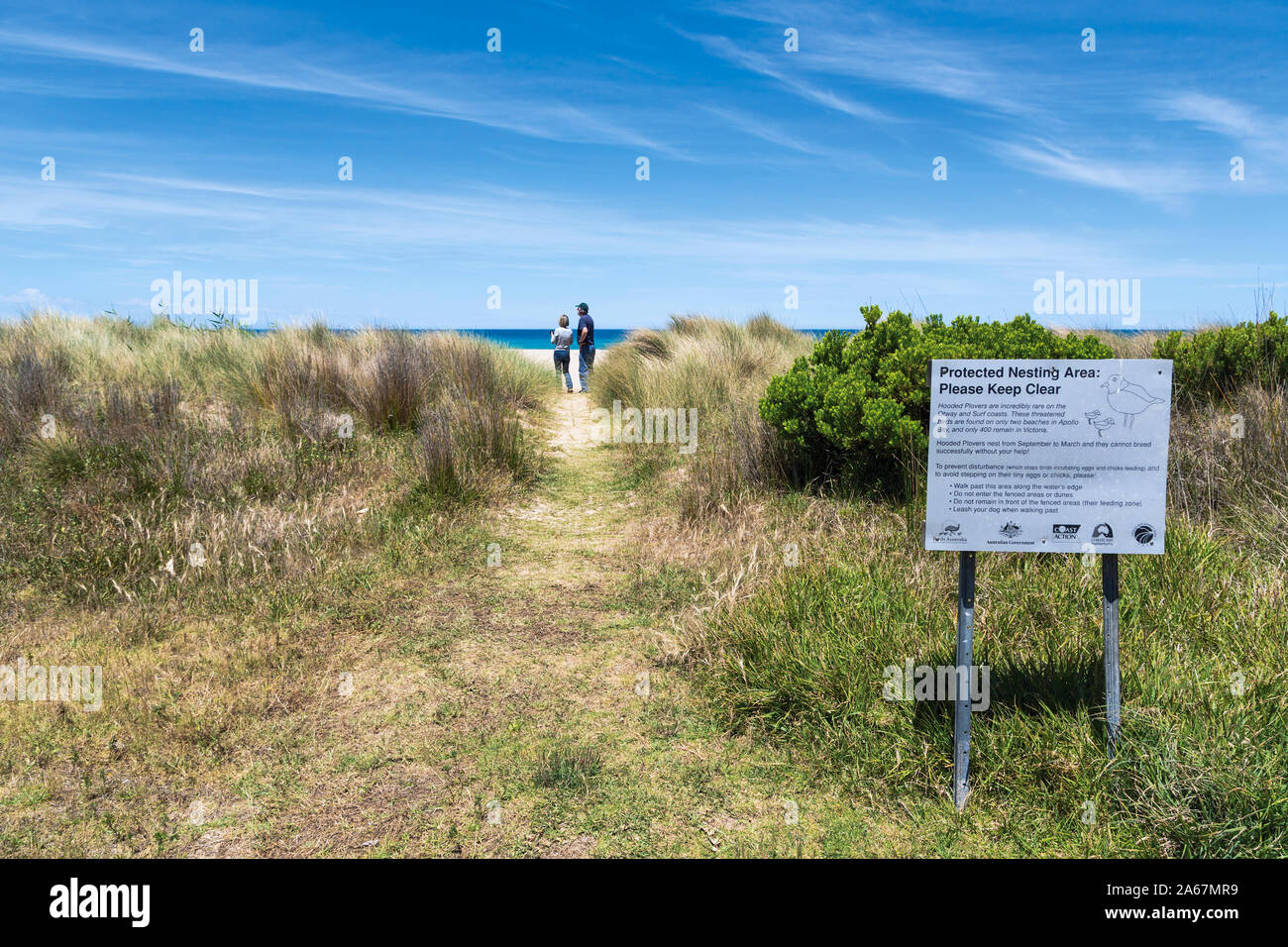 Geschützten Nistplatz für Hooded Regenpfeifer in der Nähe von Apollo Bay, Great Ocean Road, Victoria, Australien. Stockfoto