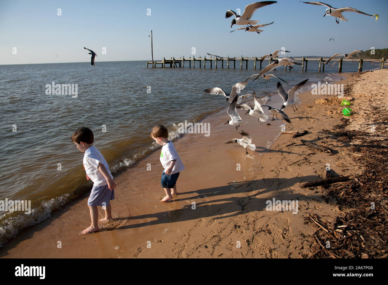 Und Josh Manning im Wasser spielen an der Mobile Bay in Fairhope, Alabama Stockfoto