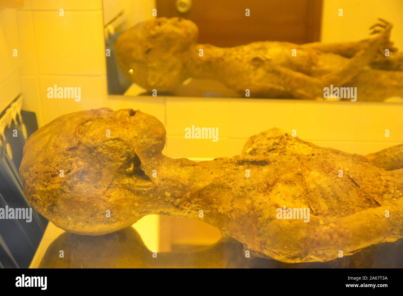 Körper eines Außerirdischen auf Anzeige an Bentwaters Museum zum Kalten Krieg, in der Nähe von Woodbridge, Suffolk, Großbritannien. Seine Entdeckung folgten Gerüchte von Raumfahrzeugen im nahe gelegenen Wald Stockfoto