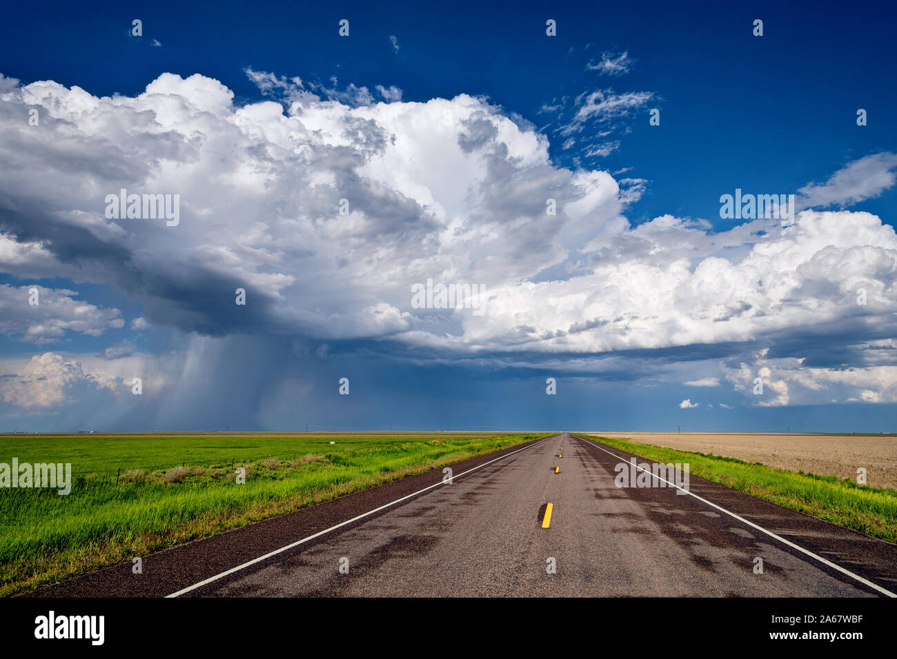 Eine gerade Straße führt in Richtung einer Cumulonimbus-Sturmwolke am Horizont in der Nähe von St. Francis, Kansas Stockfoto