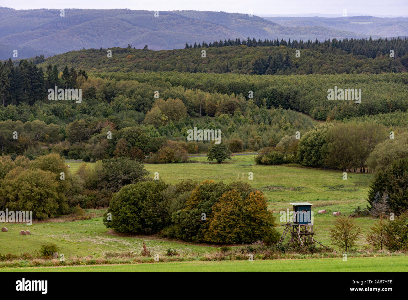 Landschaft nahe Briedel an der Mosel in Rheinland-Pfalz, Deutschland Stockfoto