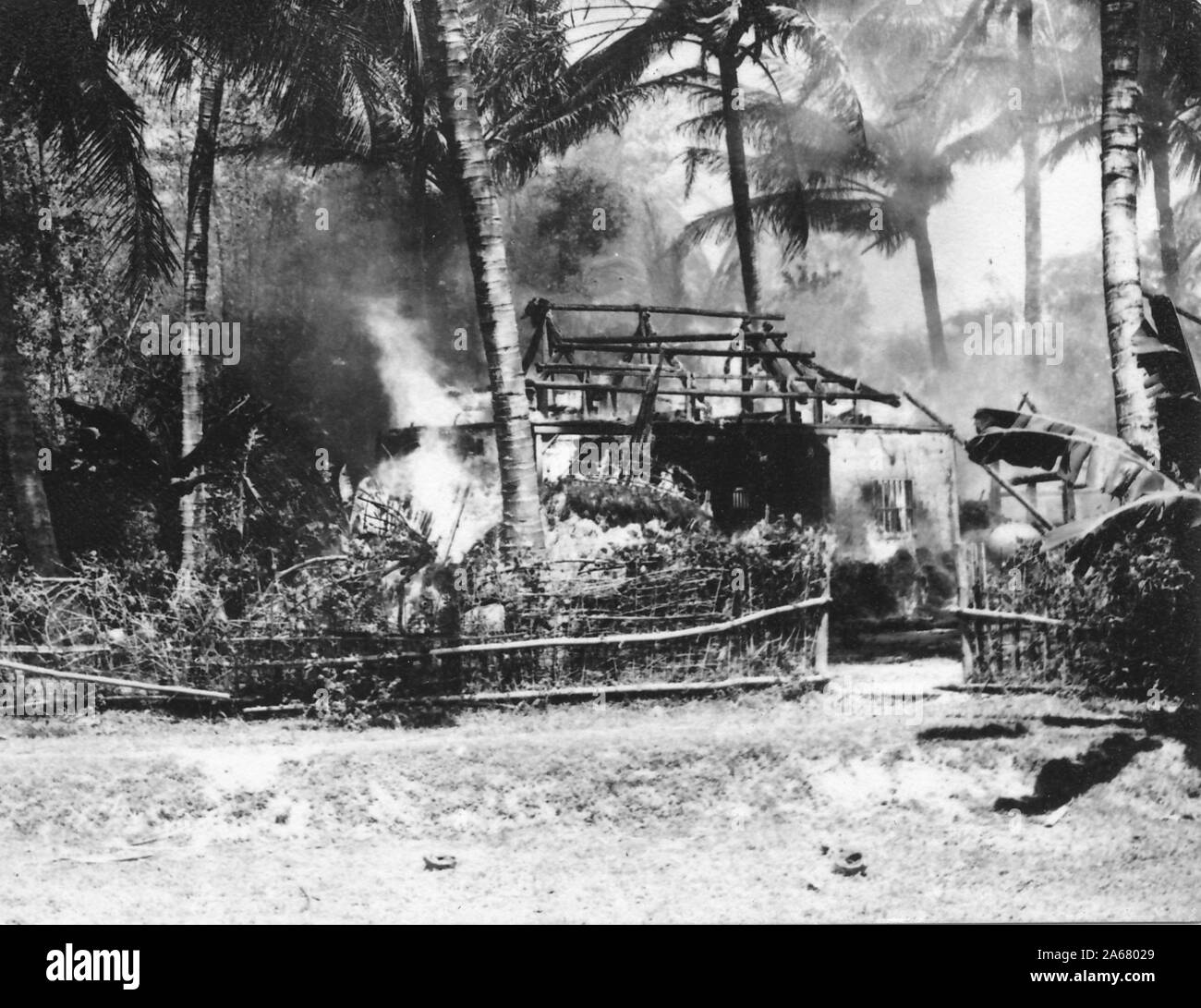 Mittelschuss eines kleinen Schwelgebäudes mit verbrannten Dachtrusseln, inmitten einer Palmendecke, Vietnam, 1965. () Stockfoto