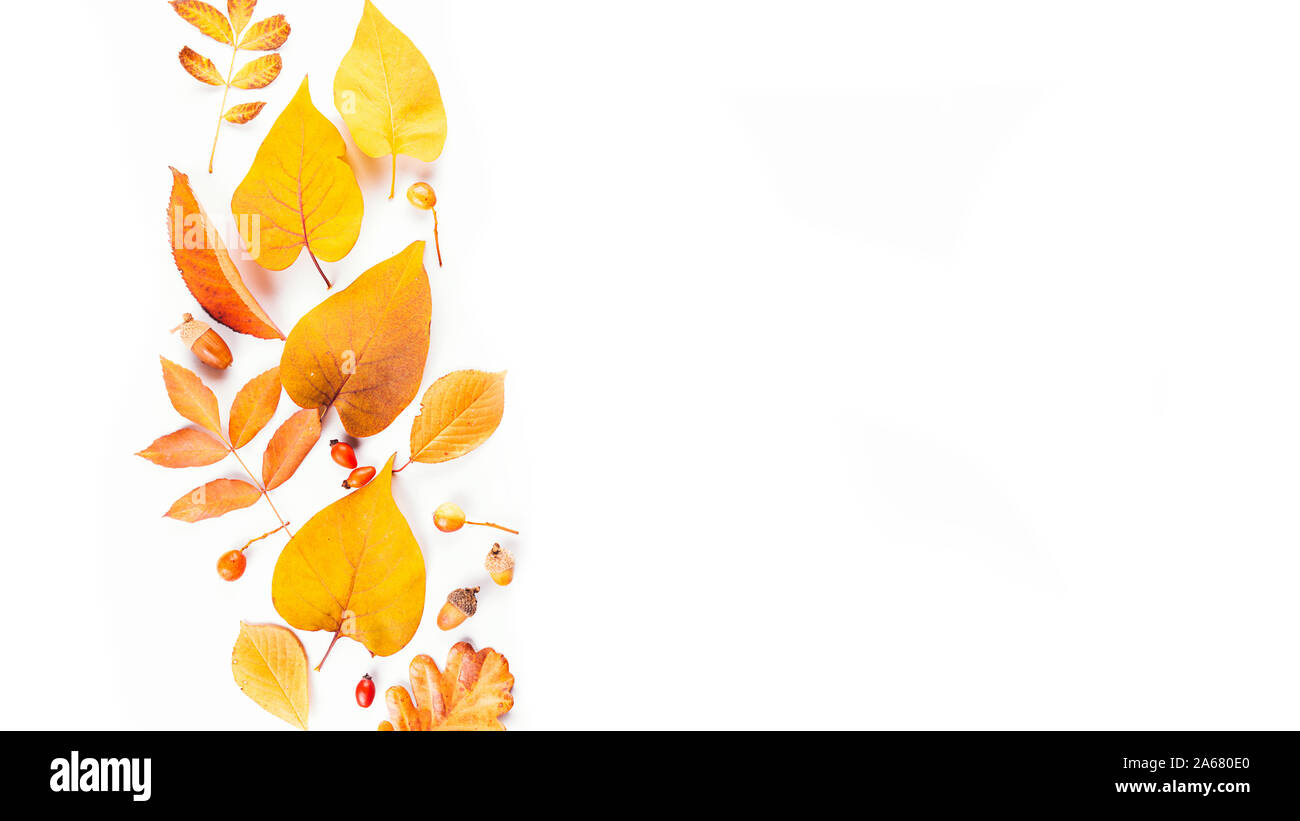 Herbst Herbst Blätter von Bäumen, Hagebutte. Flach, Ansicht von oben. Zusammensetzung für Ihre Konstruktion. Stockfoto
