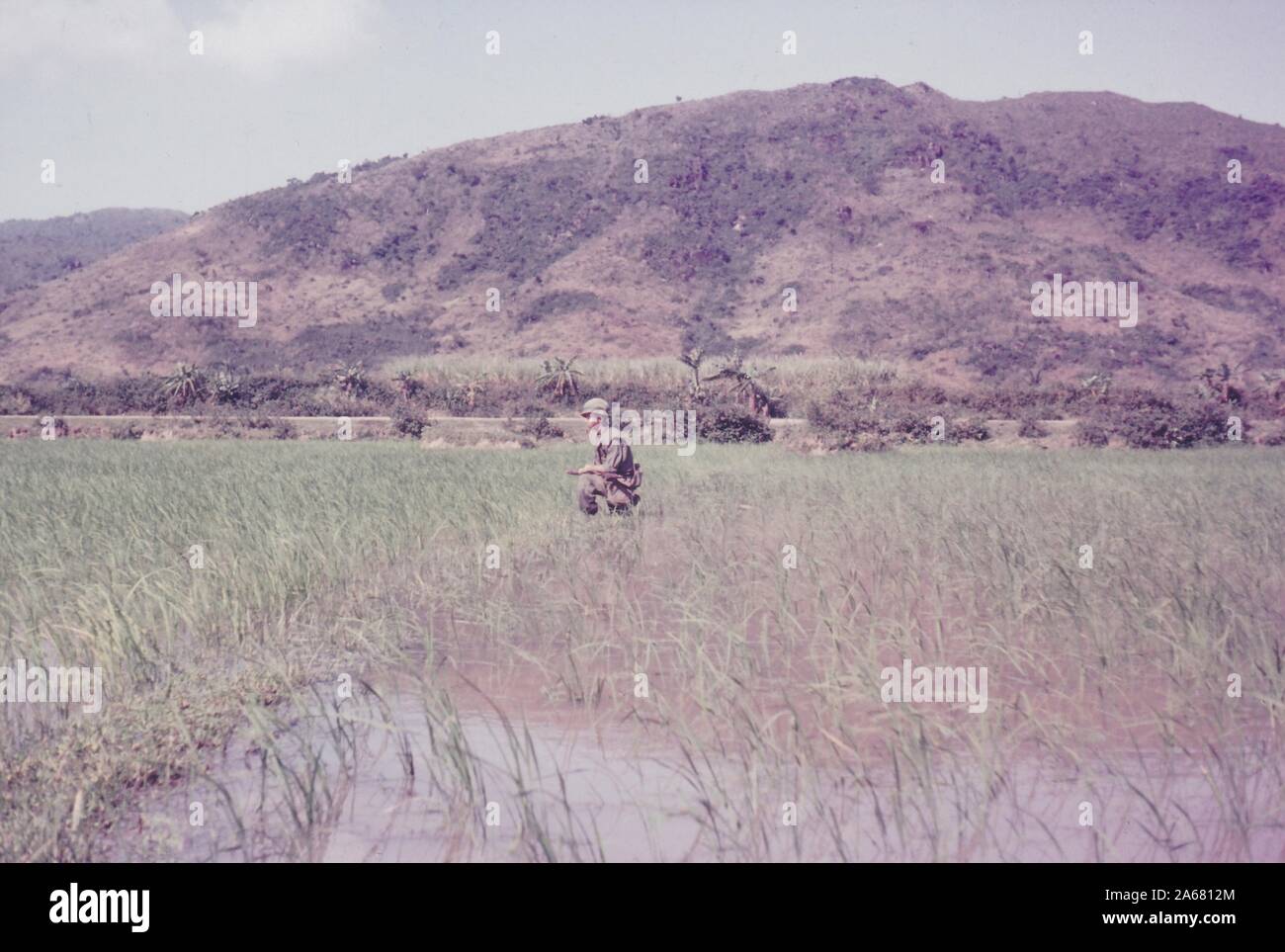 Weitschuss eines Soldaten, der inmitten eines Reisaddy im Profil sitzt, an einem sonnigen Tag, mit seiner Waffe auf den Knien und mit großen Hügeln im Hintergrund, Vietnam, 1965. () Stockfoto