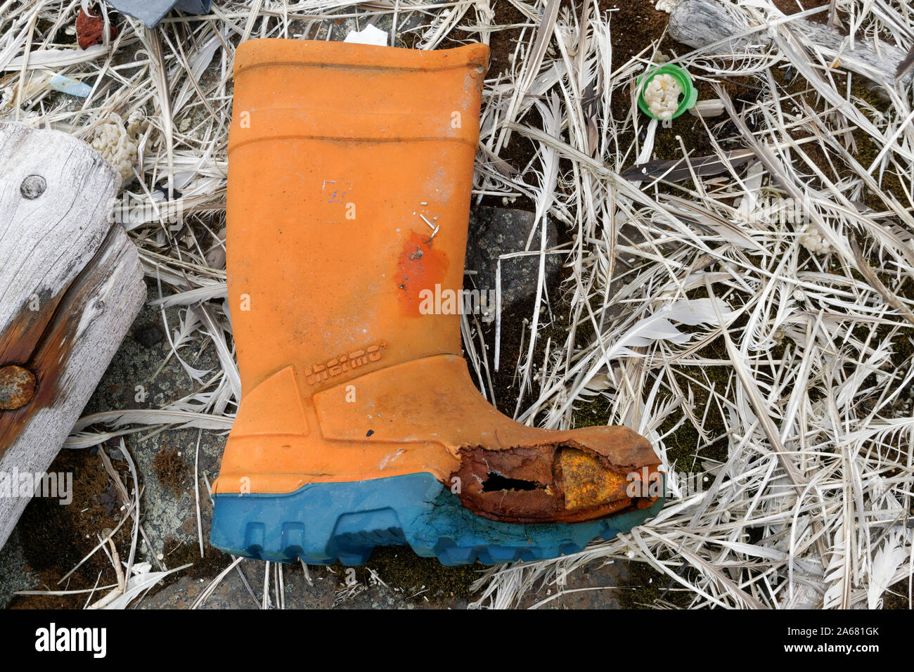 Kunststoffe auch in der Nähe des Nordpols: Aufräumen der Spitzbergen-Kampagne des Sysselmannen von Spitzbergen. Überfluteter Müll, Agardhbukta, Svalbard, Norwegen Stockfoto