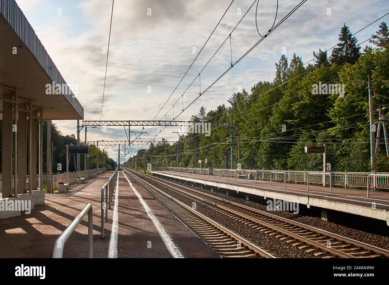 Blick auf die S-Bahn mit Schienen und Plattformen in zwei Richtungen. Wald im Hintergrund Stockfoto