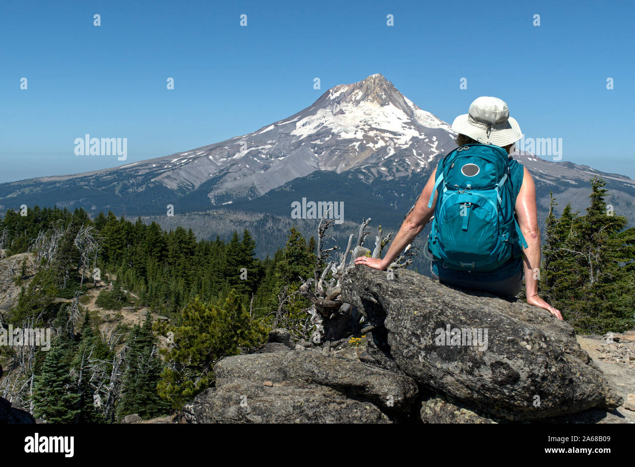 Eine reife Frau Wanderer Websites auf einem Felsen mit dem Rücken zu uns und genießt die Aussicht auf den Mt. Haube von Lookout Mt. Es ist ein strahlend blauer Himmel und hellen Sommer Stockfoto