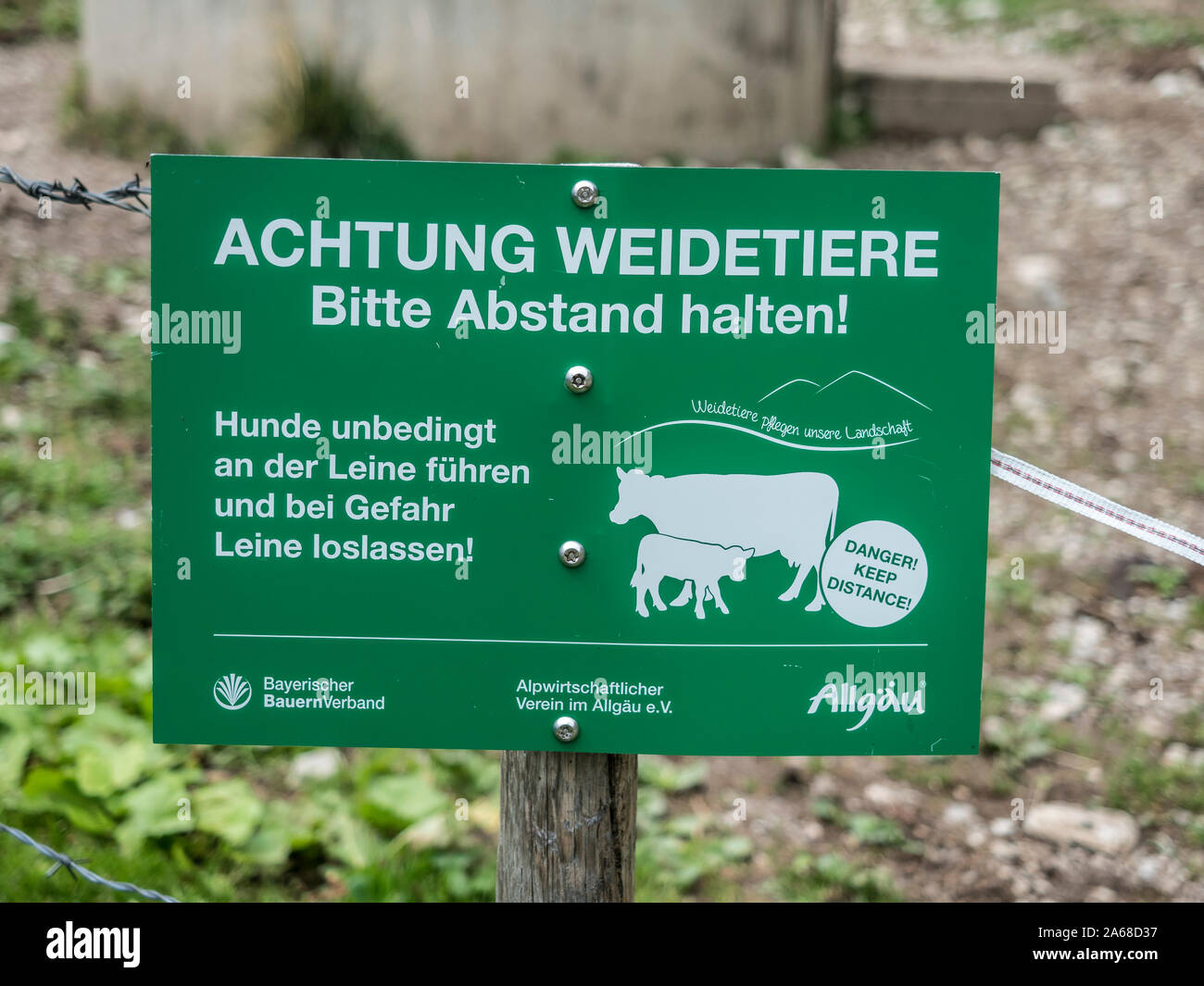 Warnschild, Gefahr der freilaufende Kühe, Berge Hirschberg in der Nähe von Bad Hindelang, Allgäu, Bayern, Deutschland. Stockfoto