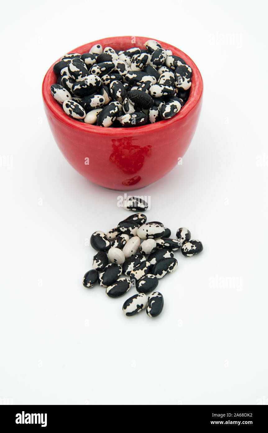 Rot Schüssel von erbstück orca Bohnen, getrocknete Hülsenfrüchte Gemüse auf einem hellen Hintergrund. Seltene Bohne-sämenkorner bereiten für das Einpflanzen oder Kochen. Stockfoto