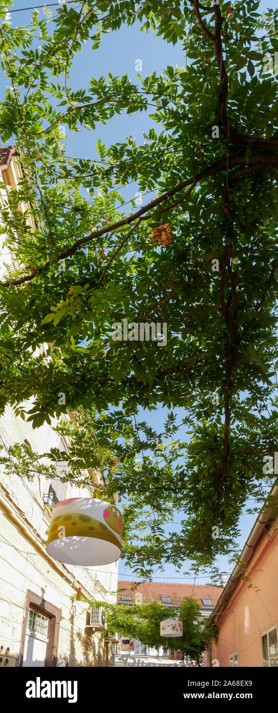 Panorama der Straße in der Altstadt von Varazdin, Kroatien. Eine Straße für seine kleinen Geschäfte und Galerien bekannt. Ein Teil der Straße ist mit Grün bedeckt le Stockfoto