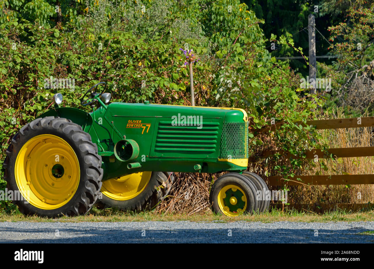Seitenansicht eines antiken Oliver farm Traktor geparkt für Menschen entlang einer Straße in British Columbia Kanada zu sehen. Stockfoto