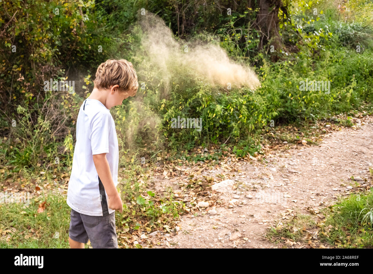 Junge spielt mit Sand in einem Wald Stockfoto