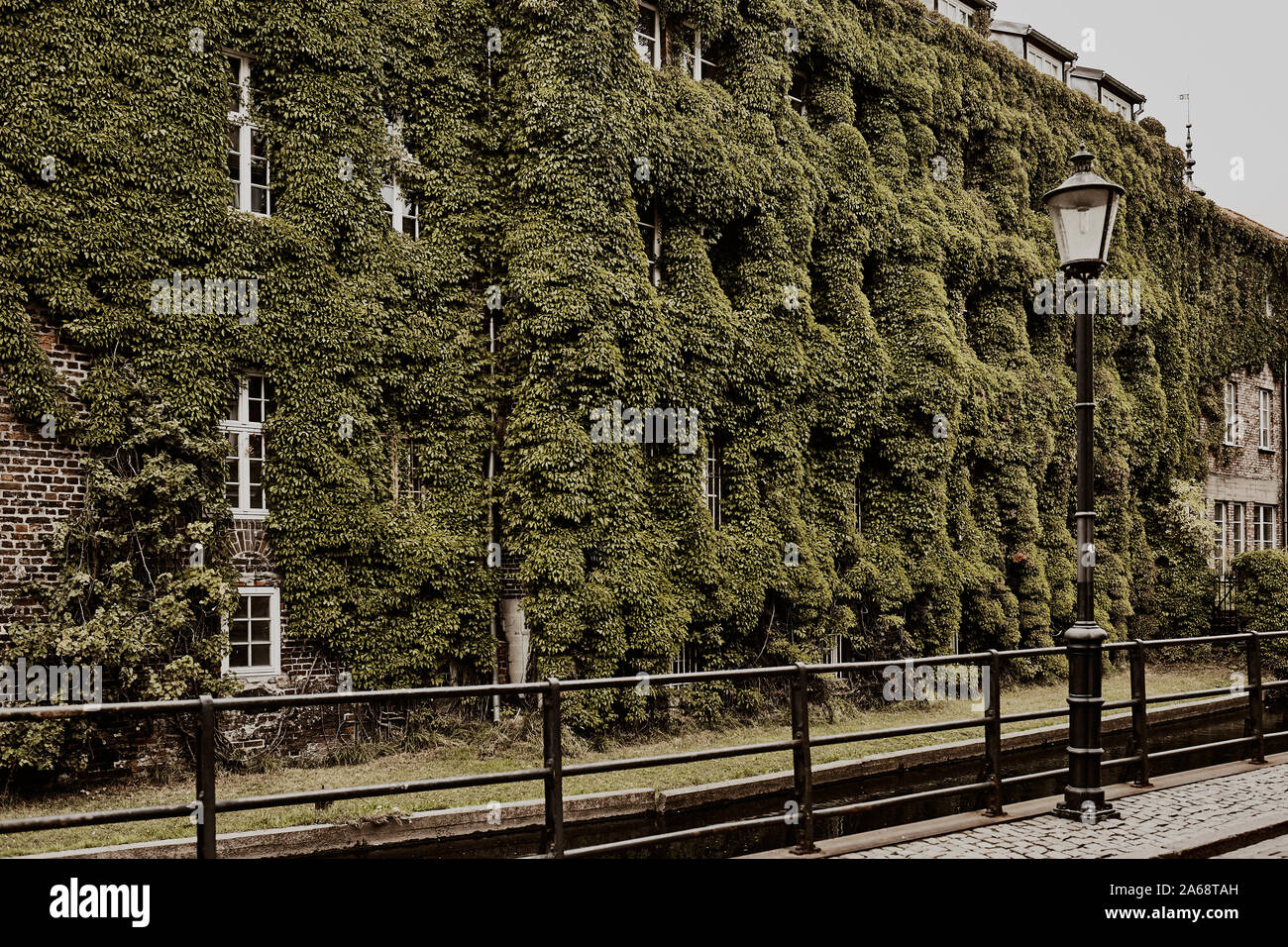 Alte Gebäude entlang des Flusses mit Kletterpflanzen auf einem Gebäude in der Altstadt von Danzig. Jahrgang der Stadt. Stockfoto Alte Gebäude entlang des Flusses mit Kletterpflanzen auf einem Gebäude in der Altstadt von Danzig. Jahrgang der Stadt. Stockfoto