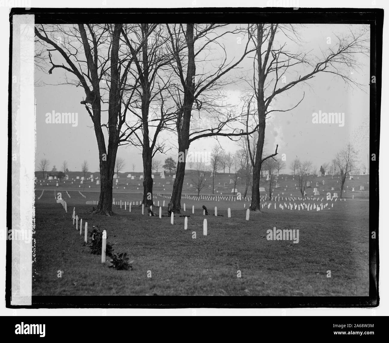 Weltkrieg abschnitt, Arlington Stockfoto