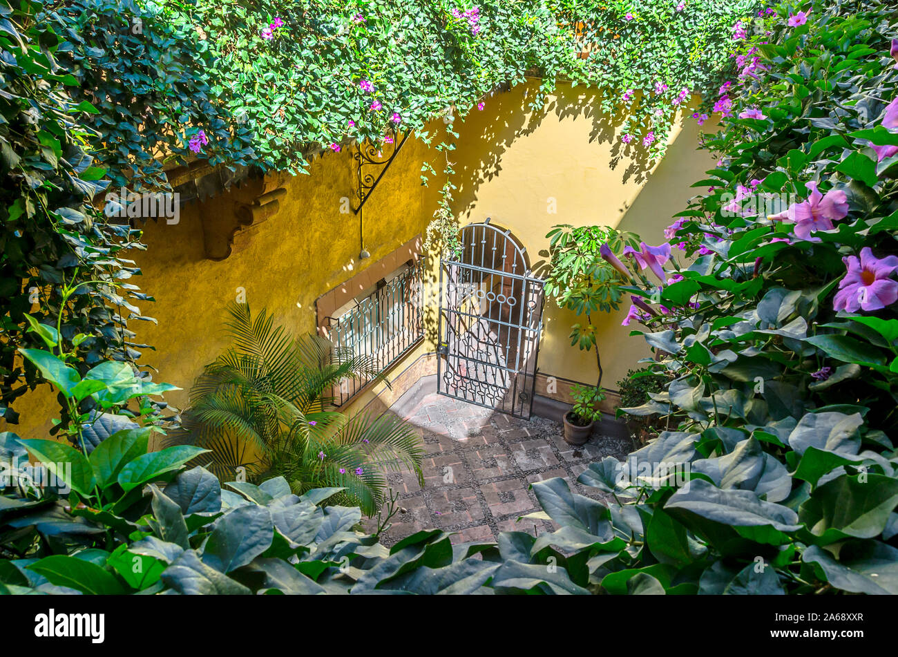 Eisen Zaun, Tür, Eingang zu einer Terrasse im sonnigen Licht, mit kletternden Pflanzen und Blumen Stockfoto