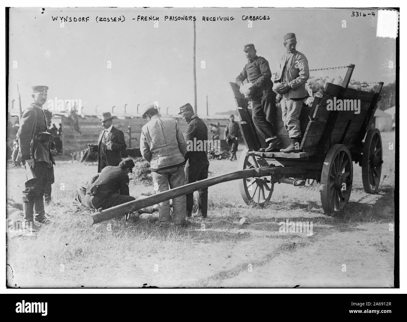 Wynsdorf (Zossen)--französische Gefangene erhalten Kohl Stockfoto