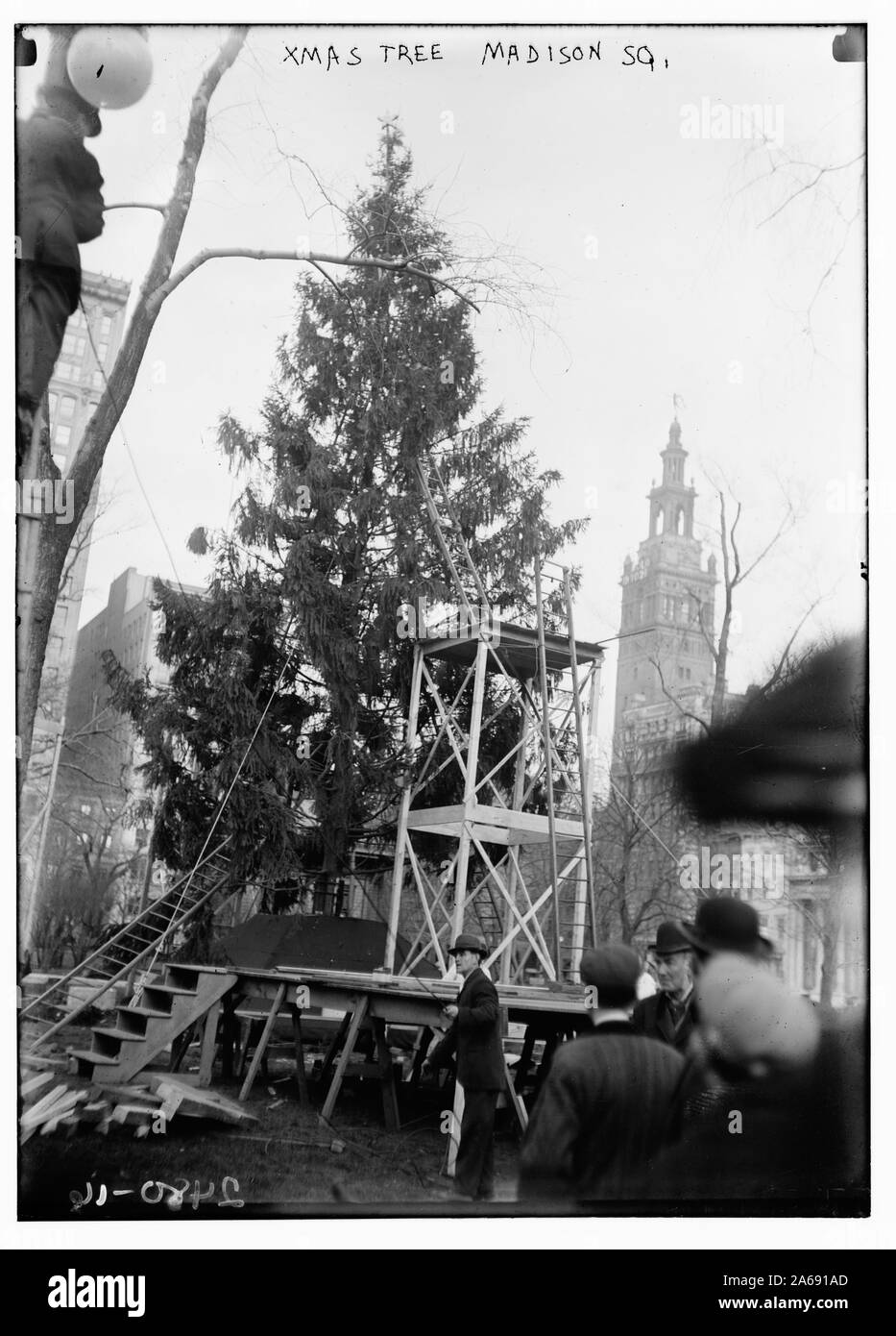 Weihnachtsbaum in Madison Sq., N.Y.C Stockfoto