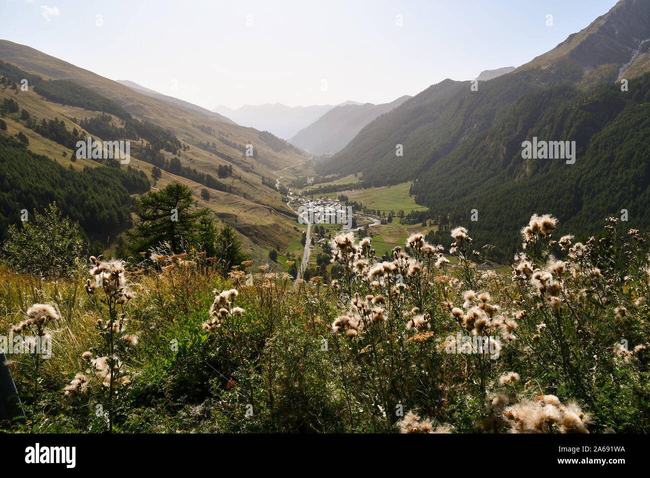 Blick auf die Alpine Dorf Chianale in Varaita Tal umgeben von Bergen im Spätsommer mit Blumen, Cuneo, Piemont, Italien Stockfoto