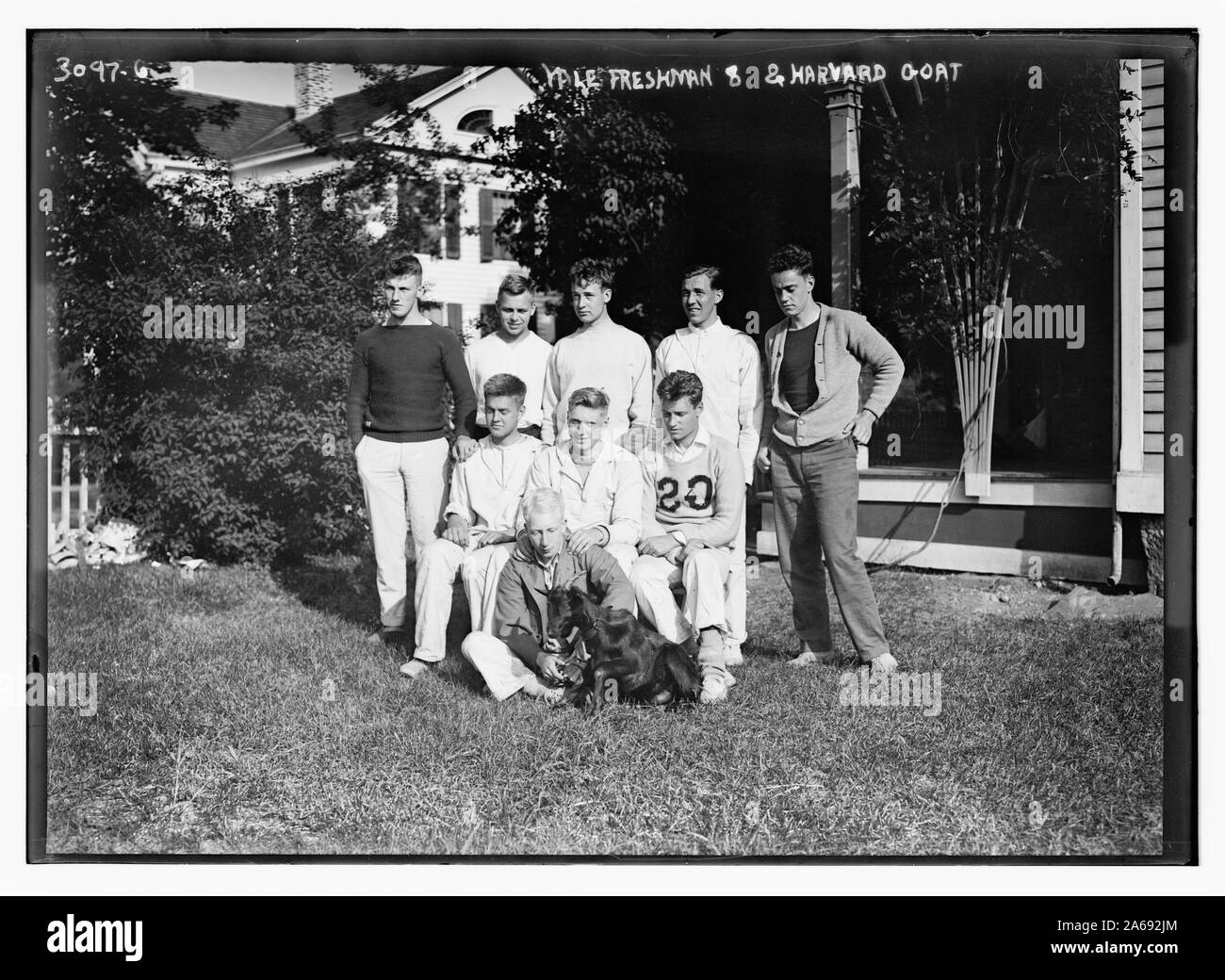 Yale frisch. 8 und Harvard Ziege Stockfoto