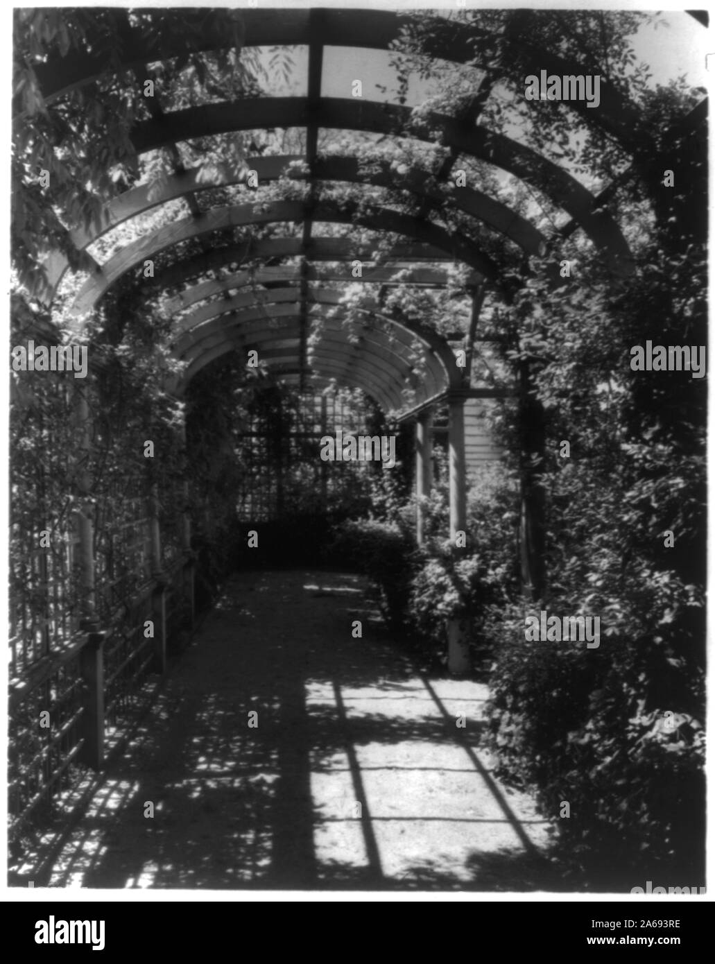 York Cottage, York Hall, York Co., Virginia, Interieur der Arbor Stockfoto