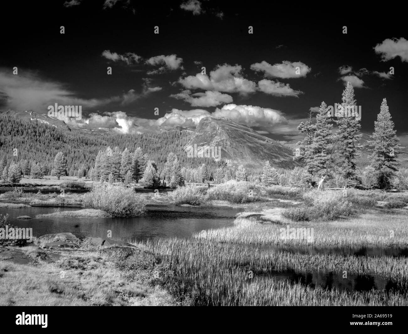 Yosemite National Park erstreckt sich über den östlichen Teile der Tuolumne, Mariposa und Madera Grafschaften in Kalifornien Stockfoto