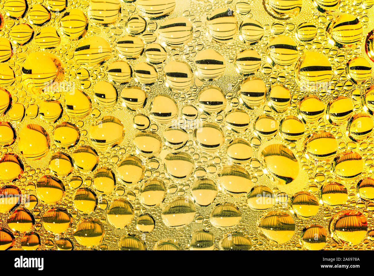 Kaltes Bier closeup mit Feuchtigkeit Kondensation auf dem Glas Stockfoto