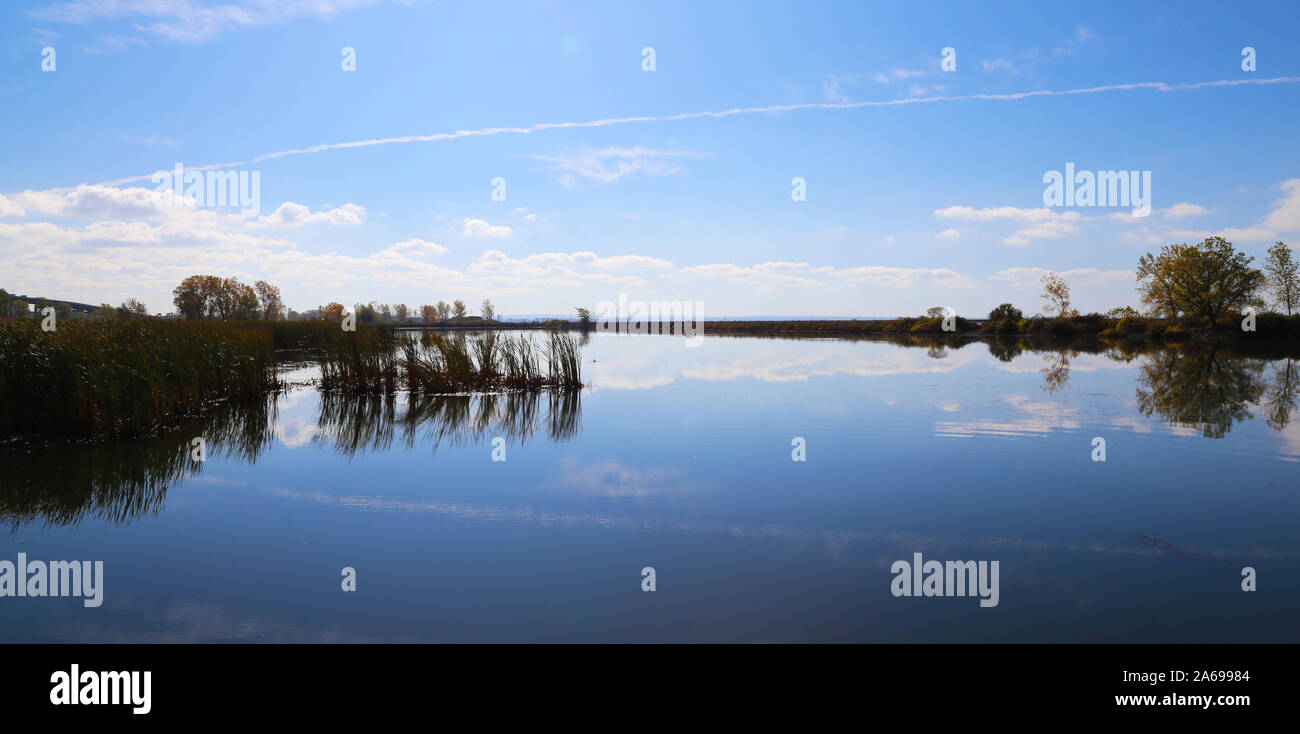 Dies ist ein Screenshot des Mal Strand Naturschutzgebiet in Buffalo New York Stockfoto