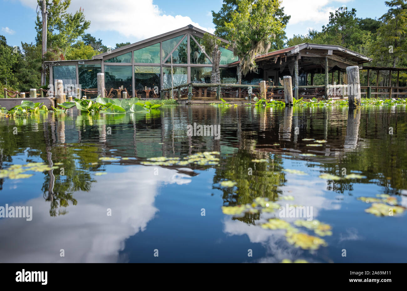 Clark's Fish Camp bietet ein einzigartiges kulinarisches Erlebnis auf Julington Creek in Jacksonville, FL mit dem größten privaten taxidermy Sammlung in den USA. Stockfoto