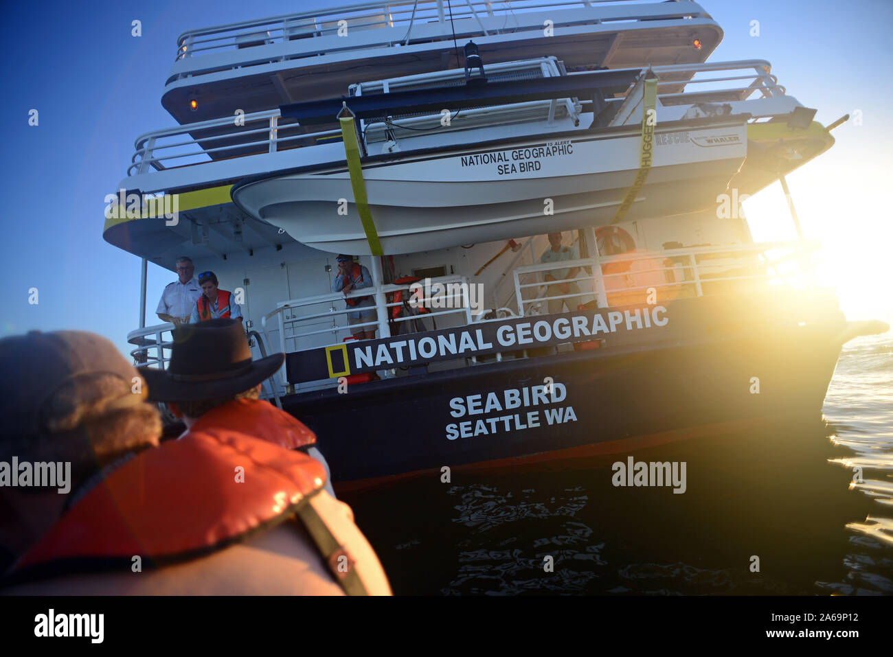 Die Erkundung der See von Cortez auf einem Tierkreis mit Lindblad Expeditions, Baja California, Mexiko Stockfoto