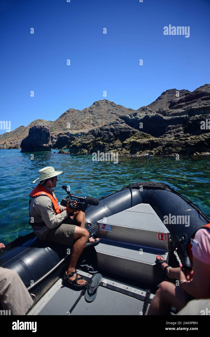 Die Erkundung der See von Cortez auf einem Tierkreis mit Lindblad Expeditions, Baja California, Mexiko Stockfoto