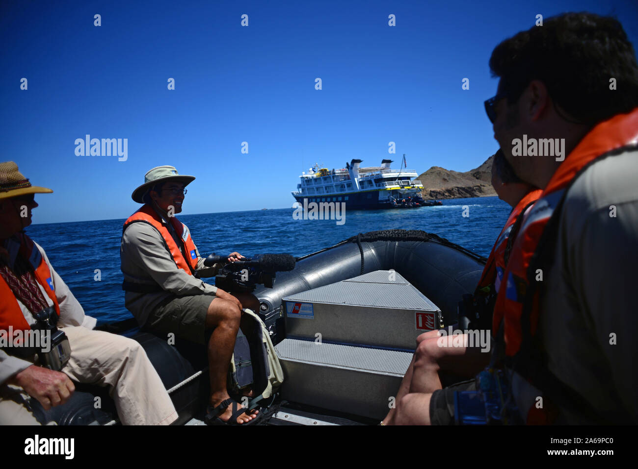 Die Erkundung der See von Cortez auf einem Tierkreis mit Lindblad Expeditions, Baja California, Mexiko Stockfoto