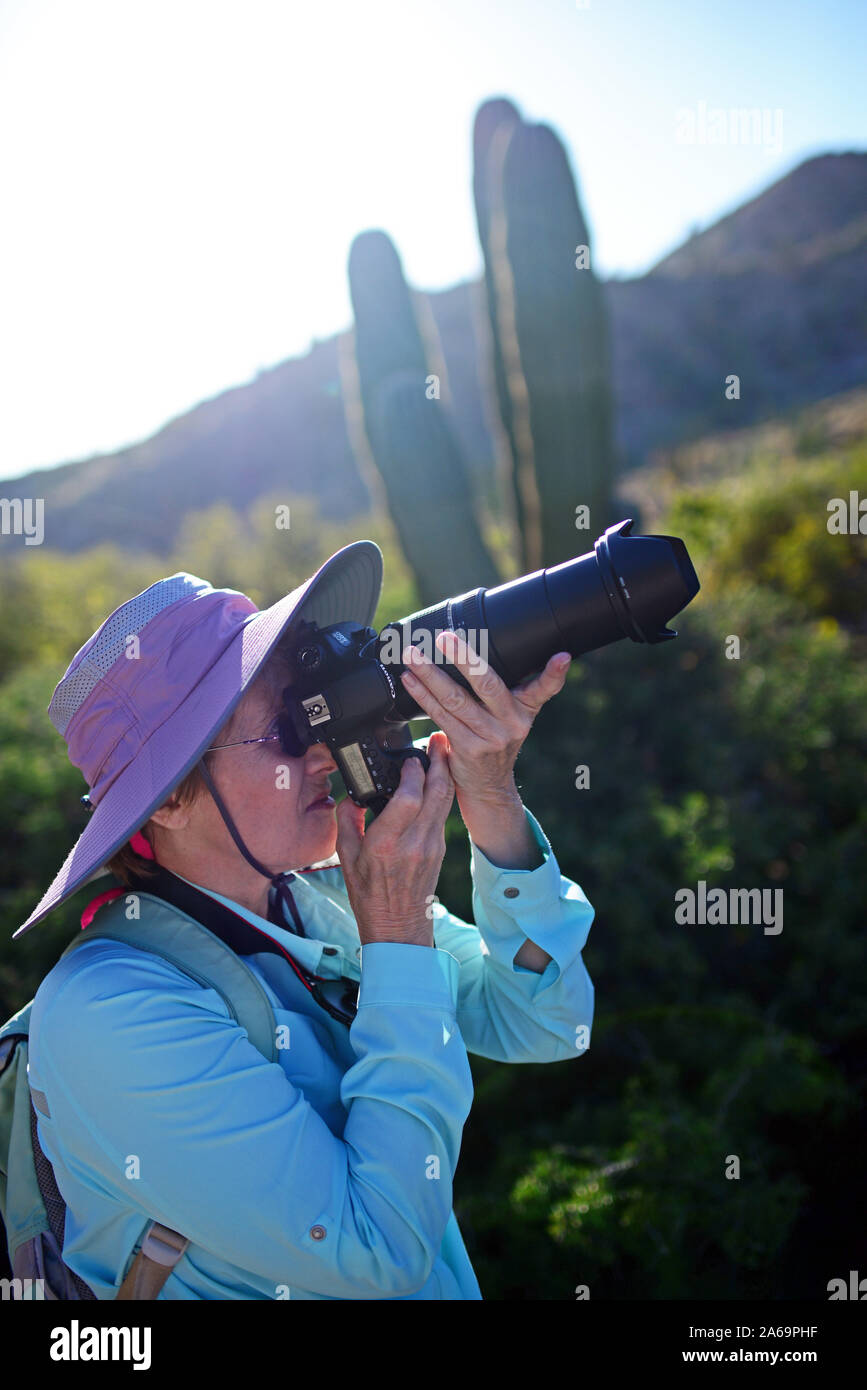 Fotografin auf der Isla Santa Catalina, Baja California Sur, Mexiko Stockfoto