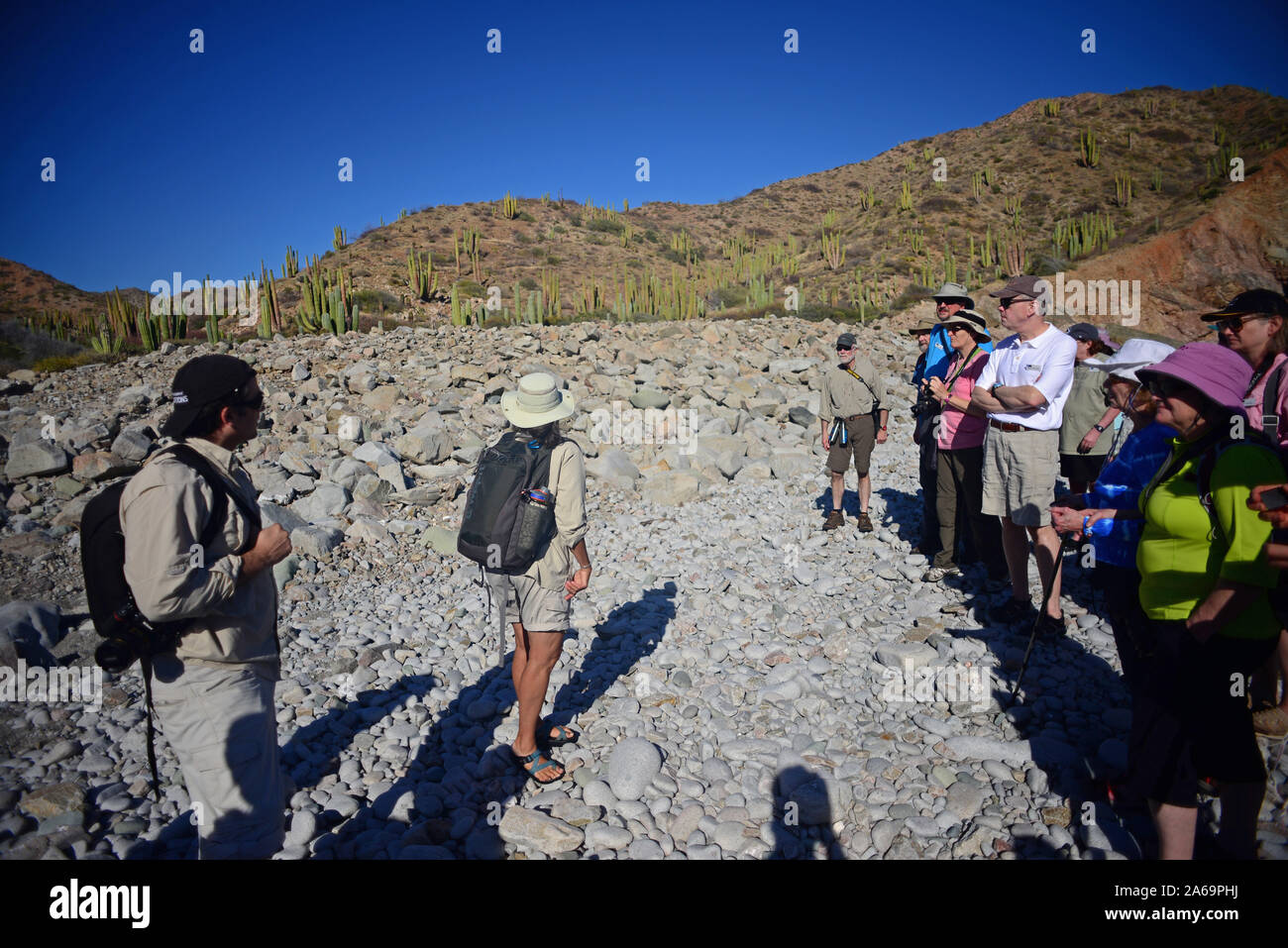 Santa catalina island mexico Fotos und Bildmaterial in hoher