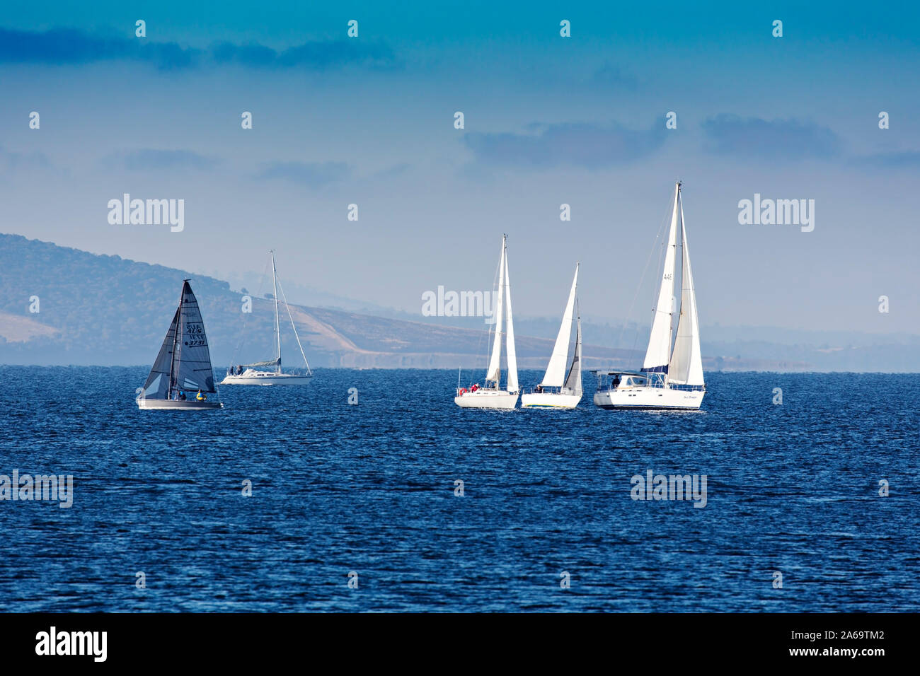 Hobart Australien/Yachten Segeln auf dem Derwent River in Hobart Tasmanien. Rennyachten ein Kurs im Hafen von Hobart zu navigieren. Stockfoto